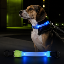 Waterproof LED Pet Safety Light — product image 1