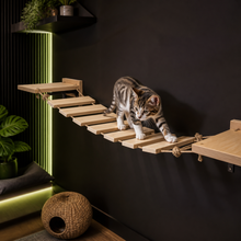 Natural Wood Cat Climbing Ladder — product image 1