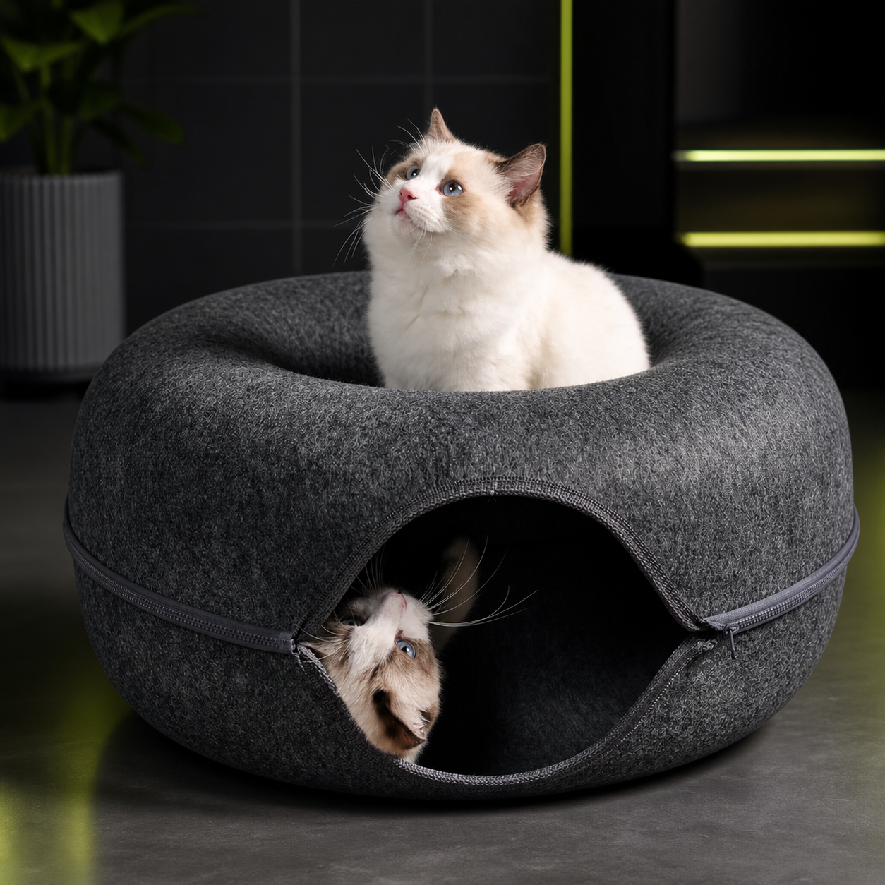 Interactive Round Felt Cat Donut Tunnel — product image 1