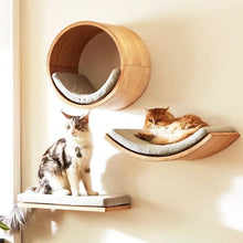 Wall-Mounted Wooden Cat Climbing Shelves — product image 2
