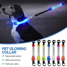 Waterproof LED Pet Safety Light — product image 3