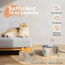 Stainless Steel PureFlow Pet Fountain — product image 7