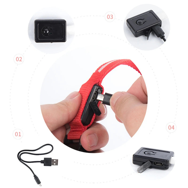 DIALIX GlowGuard™ Rechargeable LED Pet Safety Collar — product image 25