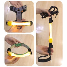 Waterproof LED Pet Safety Light — product image 7