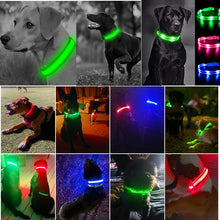 DIALIX GlowGuard™ Rechargeable LED Pet Safety Collar — product image 21