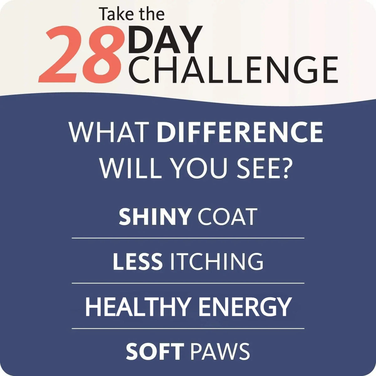 200ml Salmon Fish Oil for Dogs & Cats — product image 5