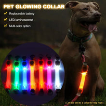Waterproof LED Pet Safety Light — product image 2