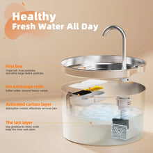 Stainless Steel PureFlow Pet Fountain — product image 14