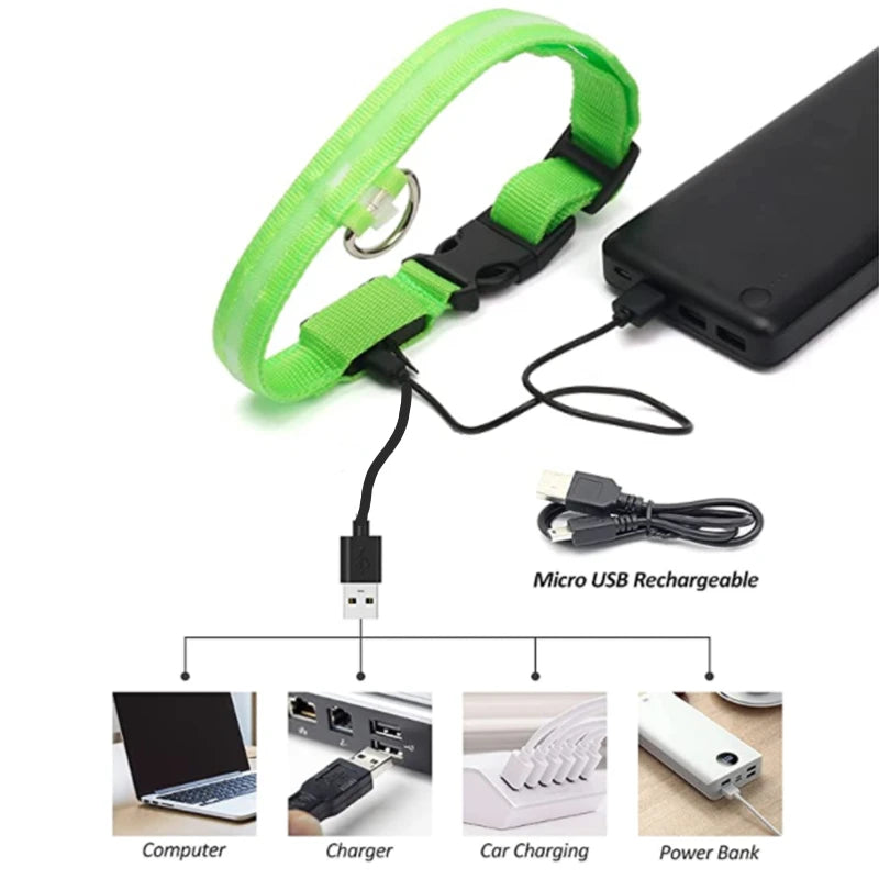 DIALIX GlowGuard™ Rechargeable LED Pet Safety Collar — product image 26