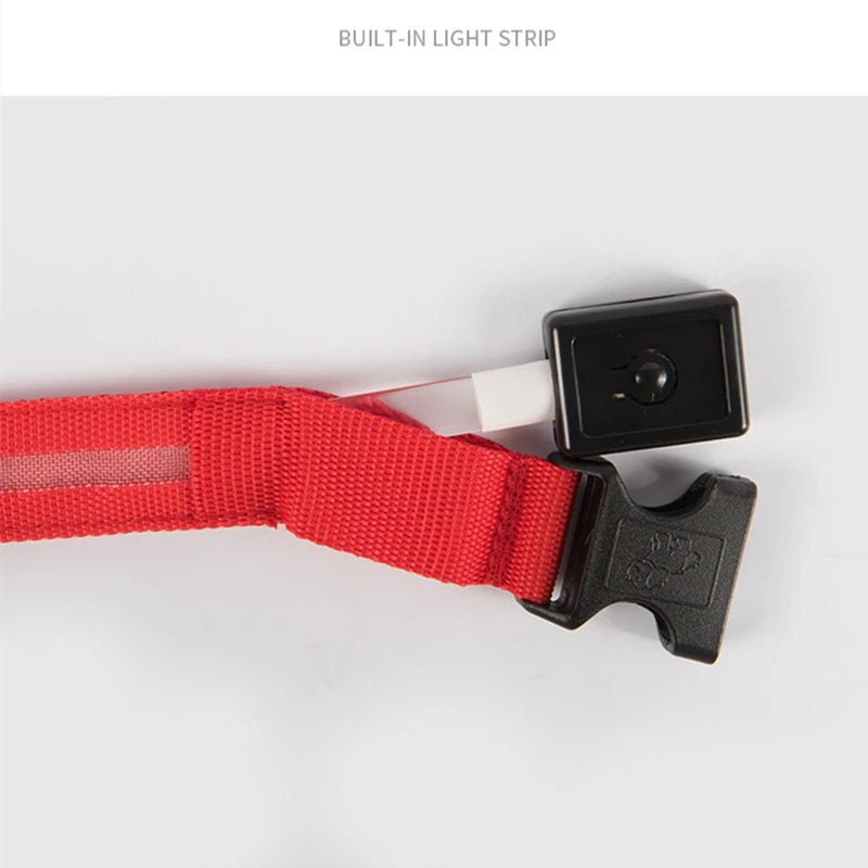DIALIX GlowGuard™ Rechargeable LED Pet Safety Collar — product image 16