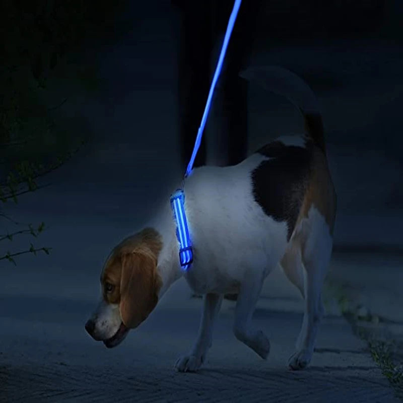 DIALIX GlowGuard™ Rechargeable LED Pet Safety Collar — product image 13