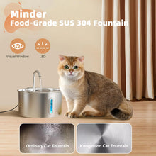 Stainless Steel PureFlow Pet Fountain — product image 12