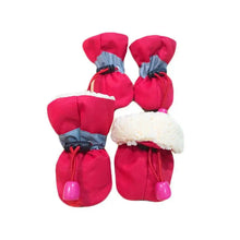 Waterproof Anti-Slip Dog Boots – Set of 4 — product image 3