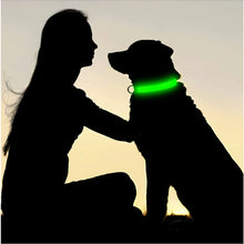 DIALIX GlowGuard™ Rechargeable LED Pet Safety Collar — product image 20