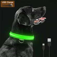 DIALIX GlowGuard™ Rechargeable LED Pet Safety Collar — product image 12