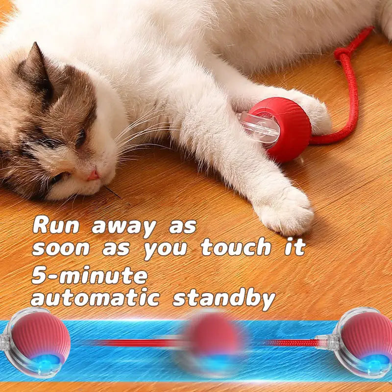 DIALIX ChaseTail™ Rechargeable Smart Cat Toy — product image 11