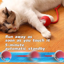 DIALIX ChaseTail™ Rechargeable Smart Cat Toy — product image 11