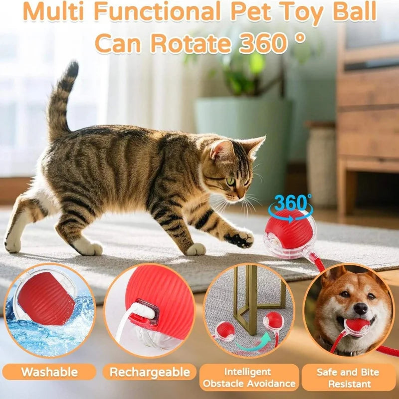 DIALIX ChaseTail™ Rechargeable Smart Cat Toy — product image 10