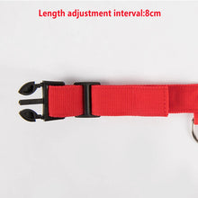 DIALIX GlowGuard™ Rechargeable LED Pet Safety Collar — product image 17