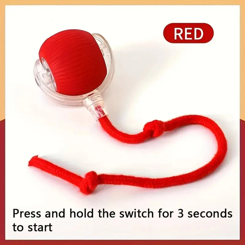 DIALIX ChaseTail™ Rechargeable Smart Cat Toy — product image 14