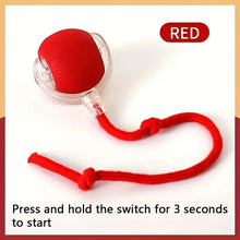 DIALIX ChaseTail™ Rechargeable Smart Cat Toy — product image 14