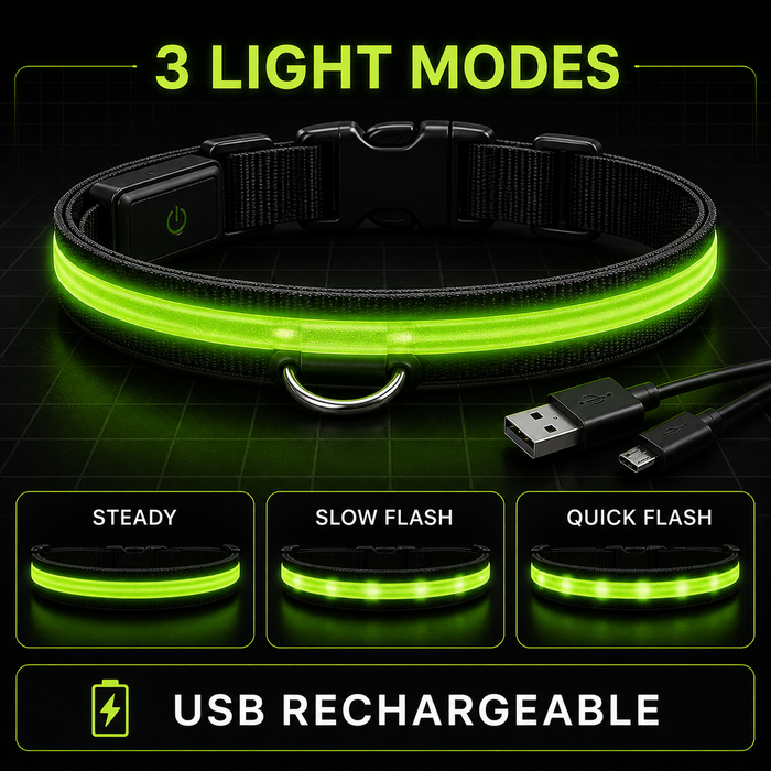 DIALIX GlowGuard LED collar with three light modes and USB charging